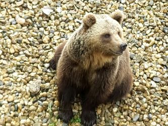 Immagina dal sito Parco Nazionale della Majella
