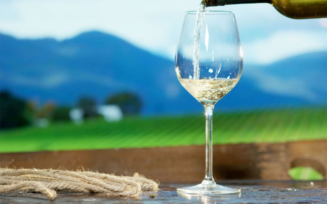 trebbiano-d-abruzzo-1080x675.jpg
