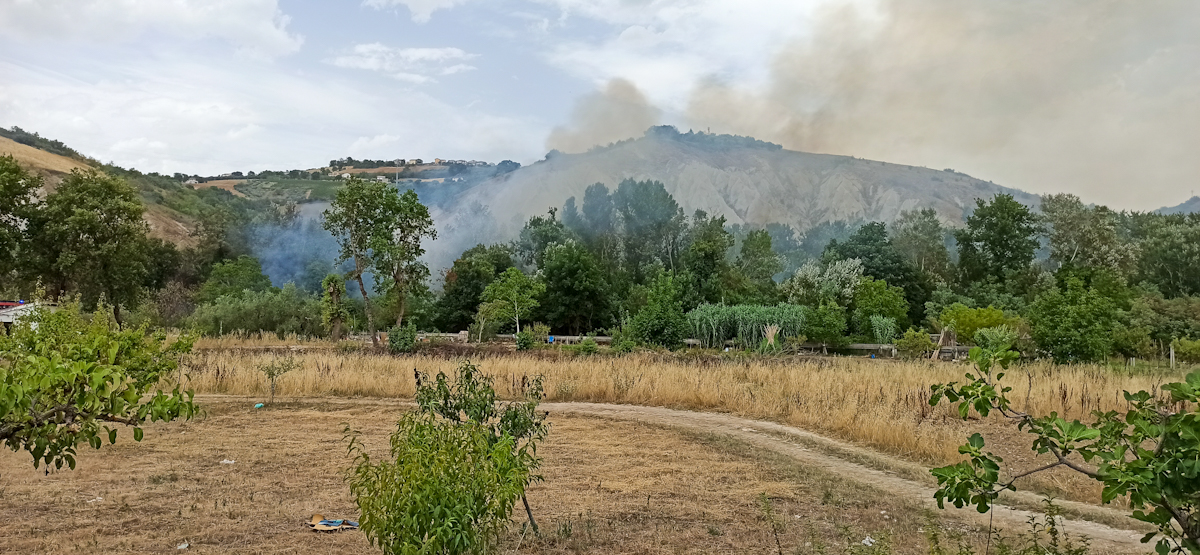 incendio-casoli.jpg