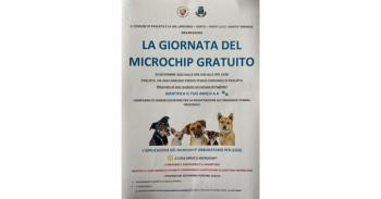 microchip-foto.jpg